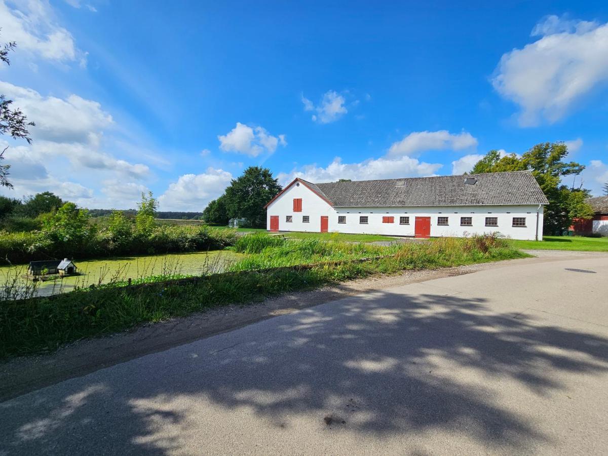 Appartamento Mannerup - Kaergaard Lejre Esterno foto